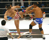 Mirko Cro Cop vs. Fujita, 2001, K-1 Tokyo, 70,000 spectators